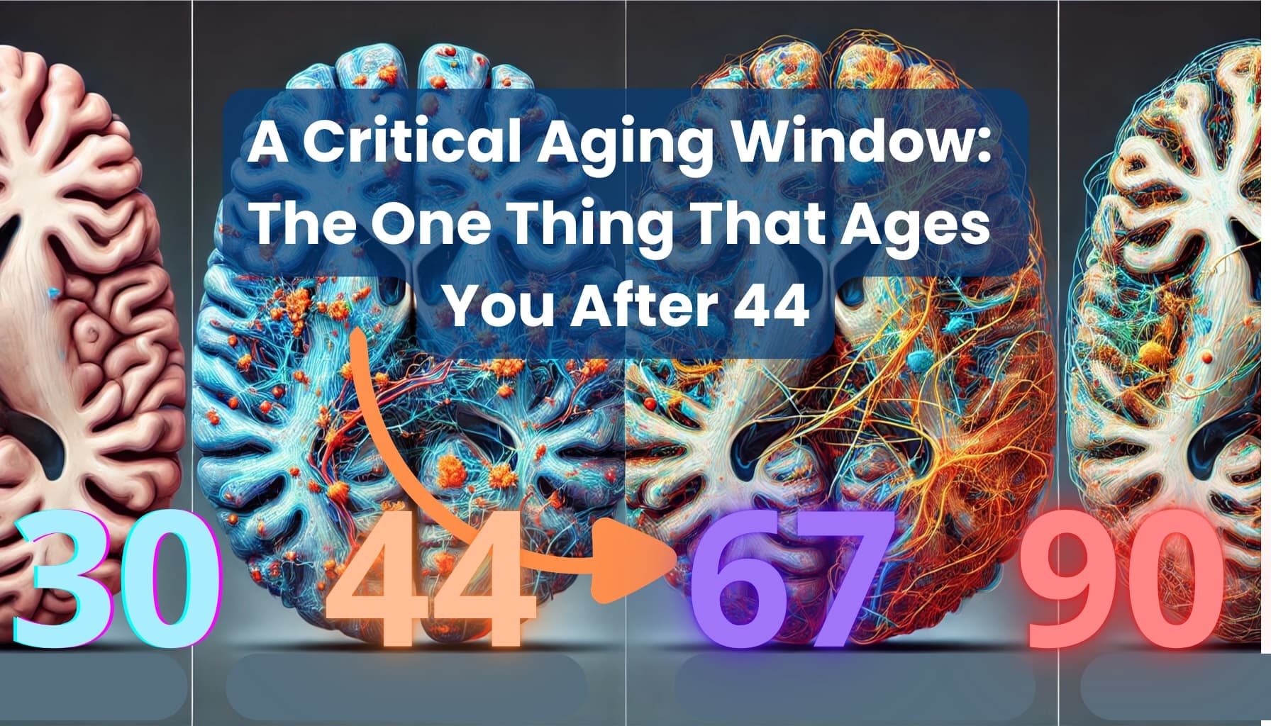 The Critical Aging Window: Why Your Brain Starts Aging at 44, Not 70