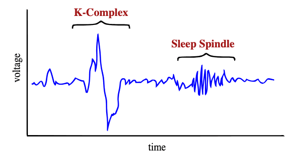 SMR Neurofeedback: Train Sleep, Focus, and Self-Control